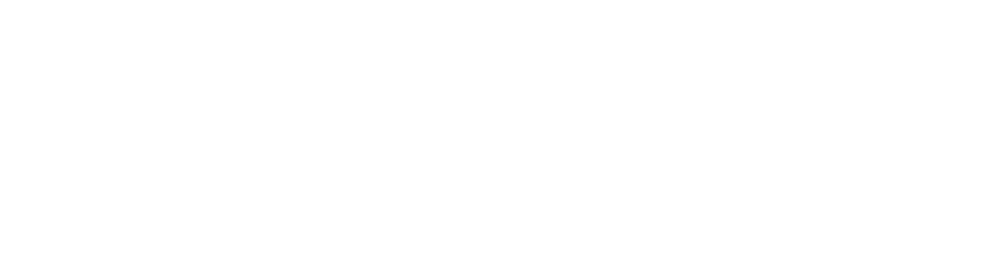berndms logoprimarywhite